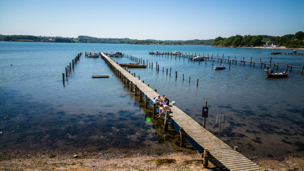 Børn fisker efter krapper på badebro ved Sønderballe Strand Camping