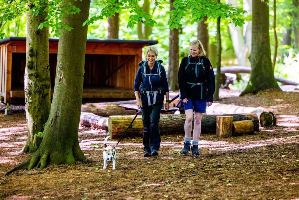 To kvinder og hund på vandretur gennem skoven i Sønderballe