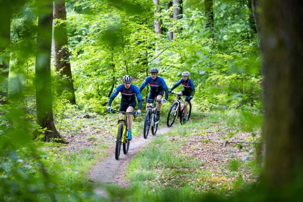 Mountainbike i skovområde ved Haderslev
